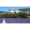 Visites guidées "Time 4 Provence"